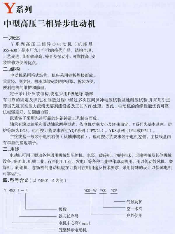 Y系列中型三相異步電動(dòng)機(jī)